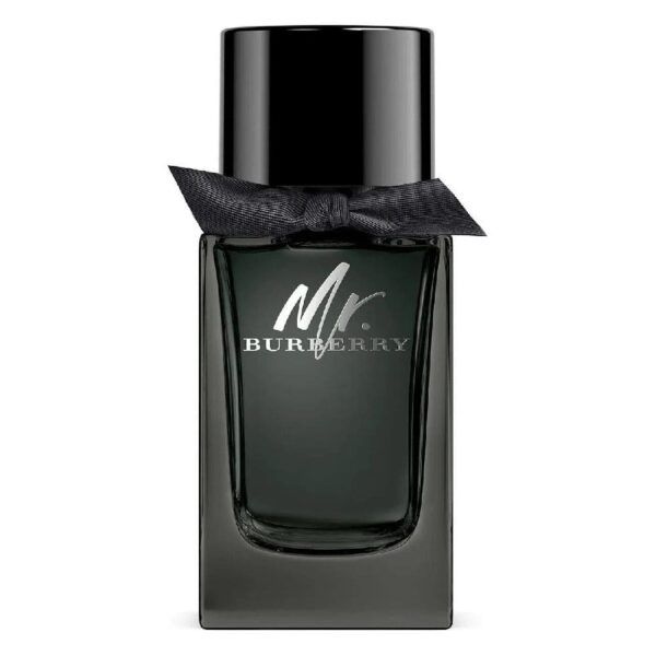 MR BURBERRY Eau de Parfum 100ml (Burberry) (Hombre)