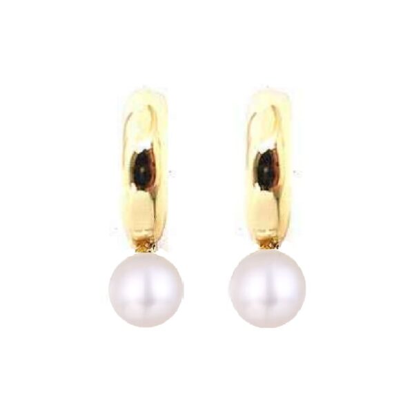 PAR DE ARETES CON PERLA (Bisuteria) (Mujer)
