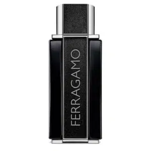 ferragamo sublime leather